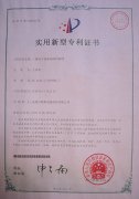 1-1P22610405NK-lp